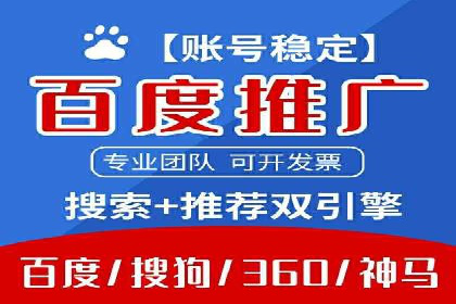实战经验：SEM网络推广打造行业领军品牌