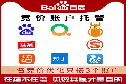 谷歌竞价案例：成功案例分析及启示